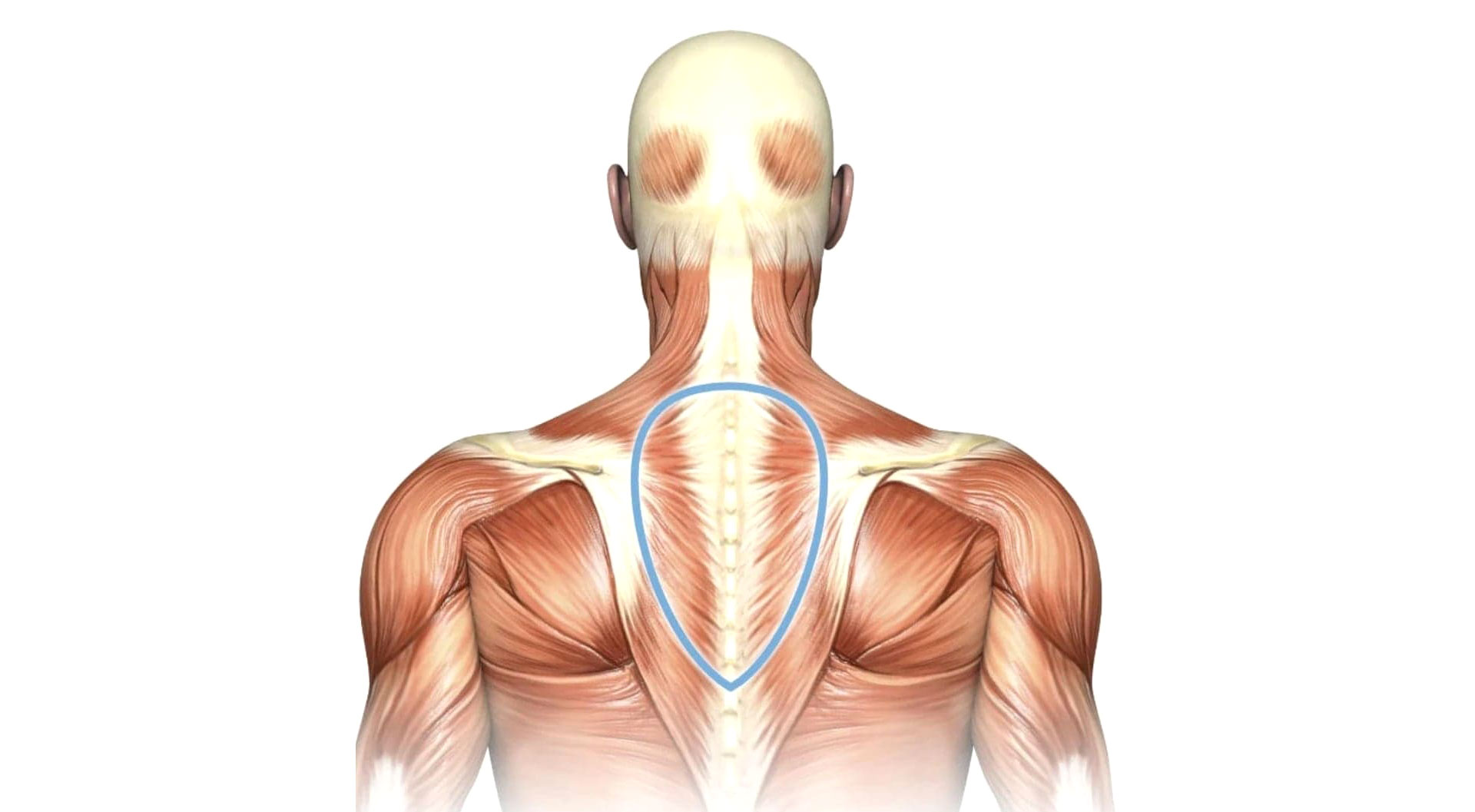 Exercises for Upper Body Pain & Tension