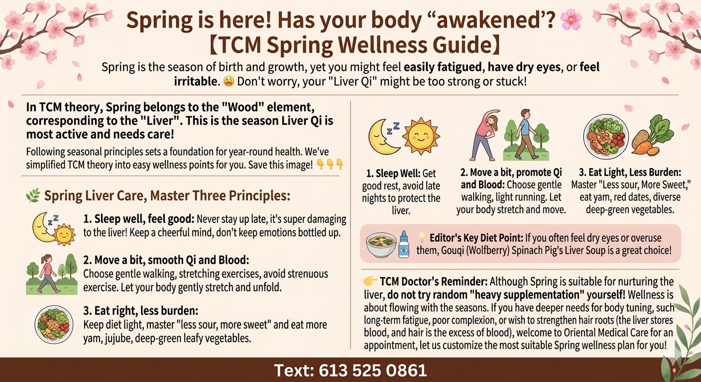 TCM Spring Wellness Guide