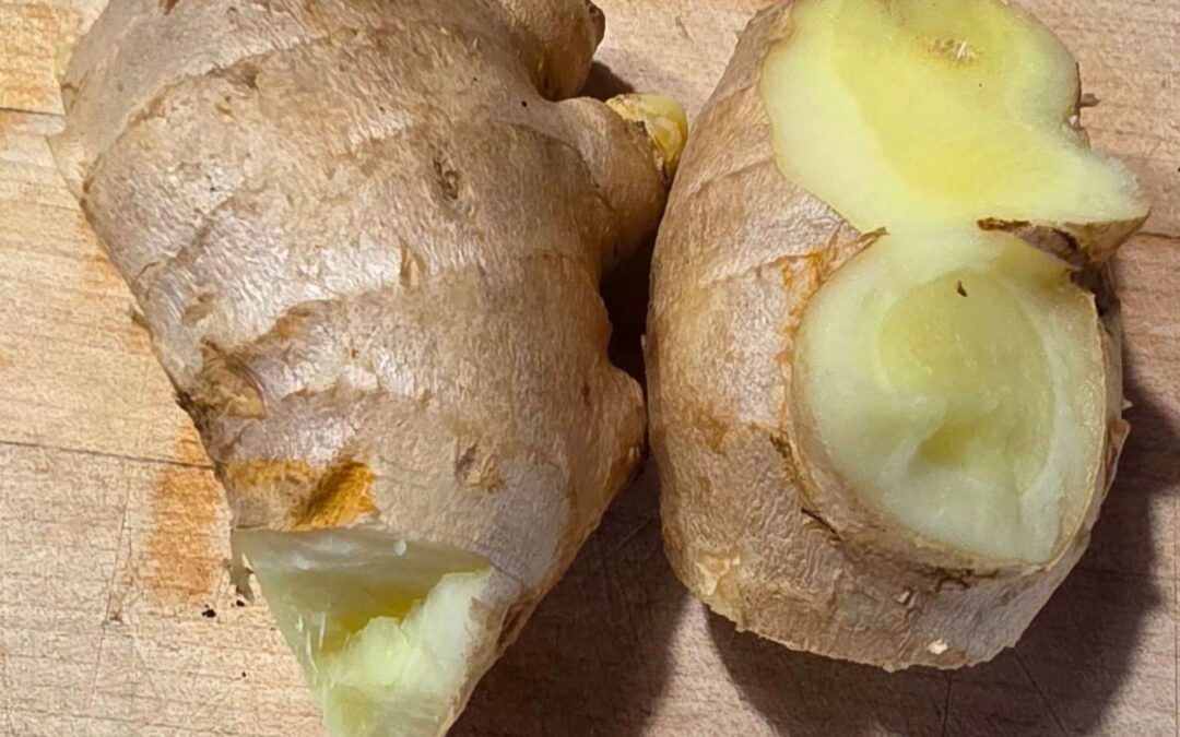 My Secret for Summer Energy (and Winter Wellness)