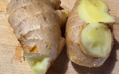 My Secret for Summer Energy (and Winter Wellness)